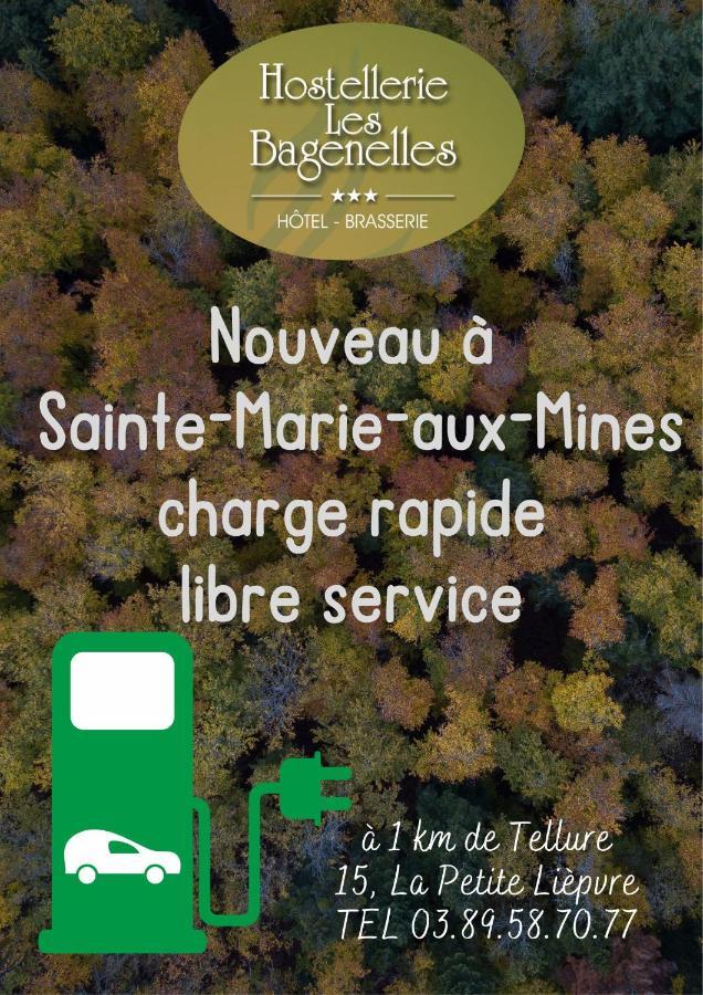 Hostellerie Les Bagenelles Sainte-Marie-aux-Mines Eksteriør billede